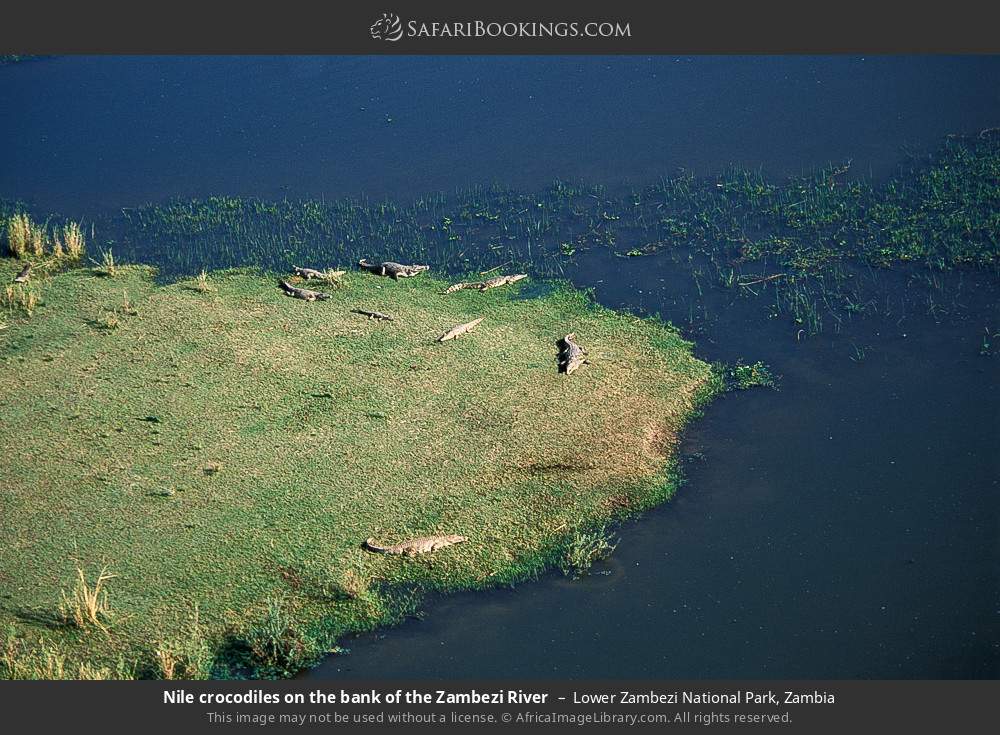 Lower_Zambezi_National_Park_010