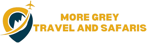 mgtravelandsafaris.com